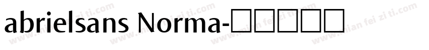abrielsans Norma字体转换